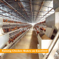 Design Automatic a Type Chicken Egg Layer Cages